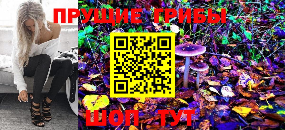 купить   Галлюциногенные грибы MAGIC MUSHROOMS  Вход с VPN  Гусь-Хрустальный 